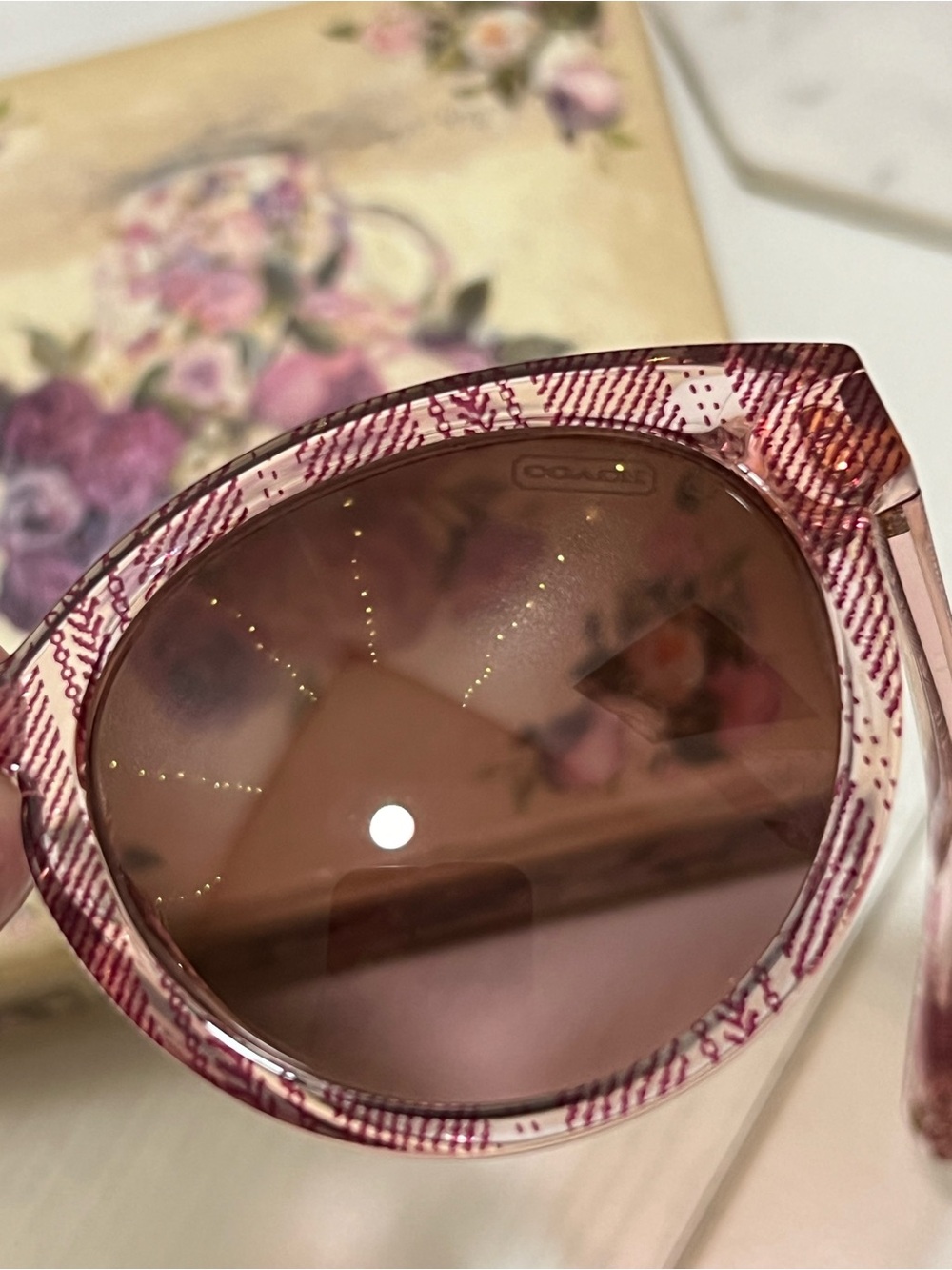 COACH Aria Garnet Sunglasses - Picture 6 of 6